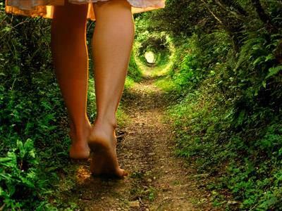 A path through nature