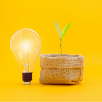 Lightbulb and plant icon