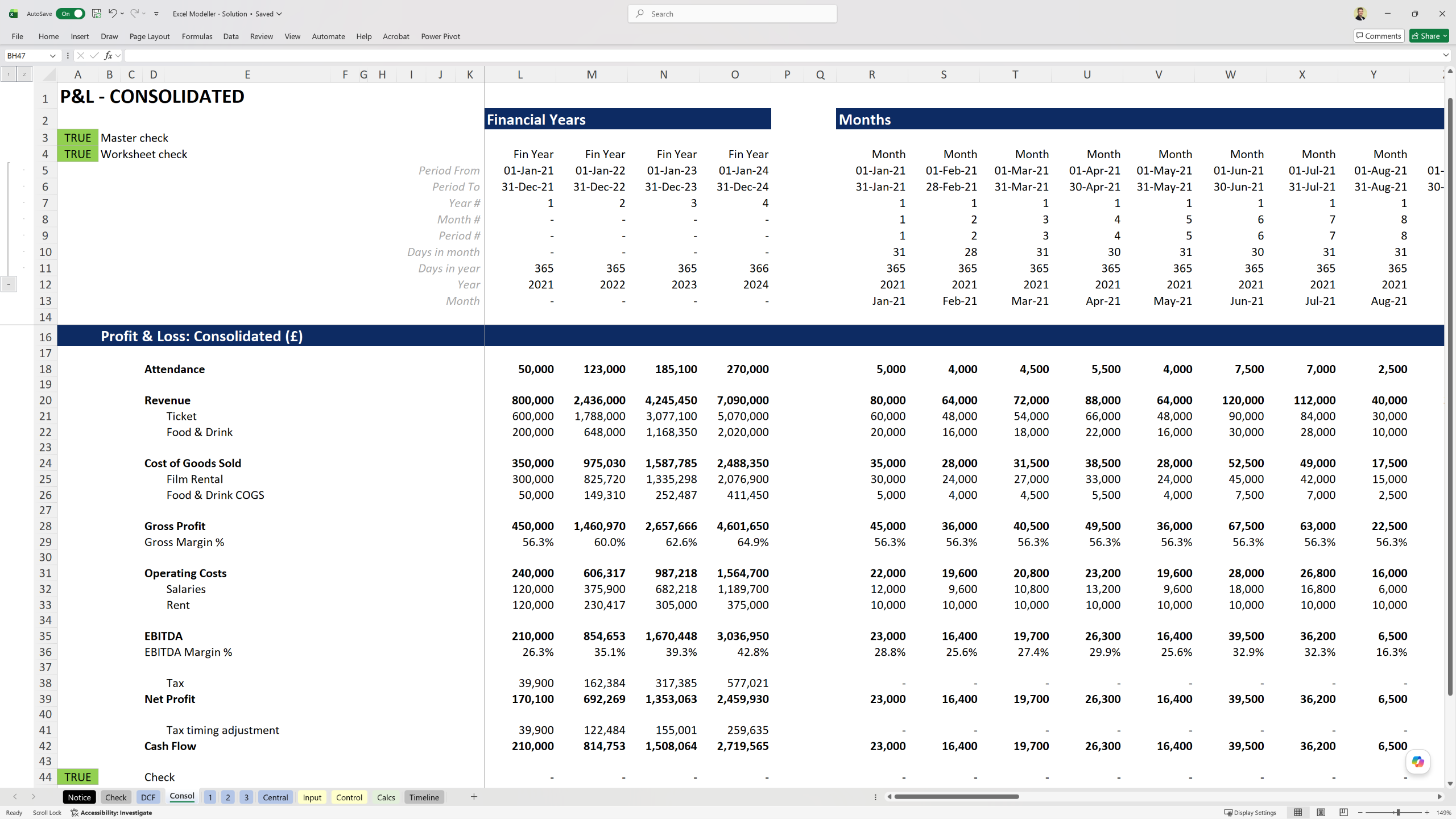 Financial model consolidated P&L at monthly level of granularity