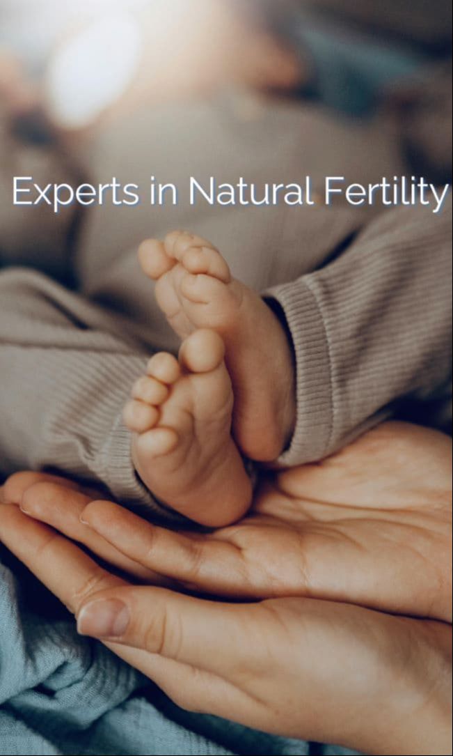 Experts in Natural fertility