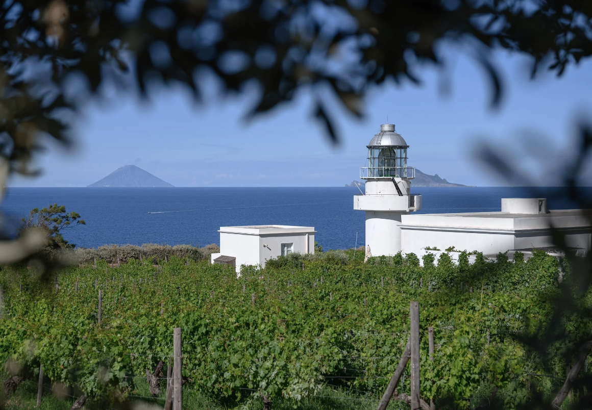 Tembi Laughing with a friend