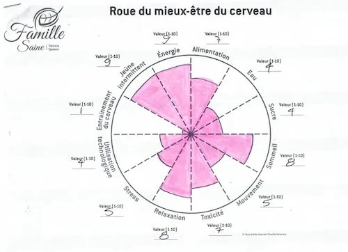 Roue du mieux-être du cerveau
