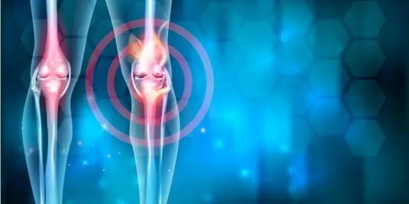 Skeletal diagram of the leg with the knee joints highlighted in red