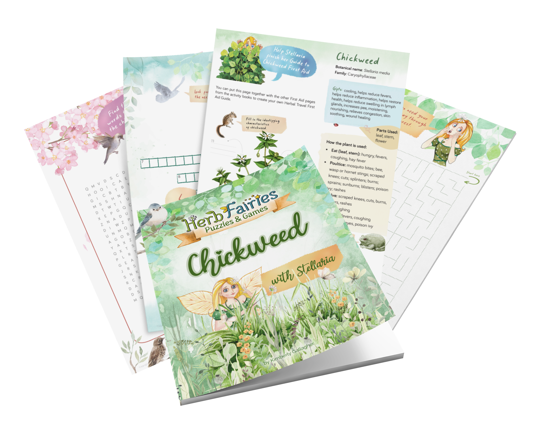 Herb Fairies Puzzles & Games Book