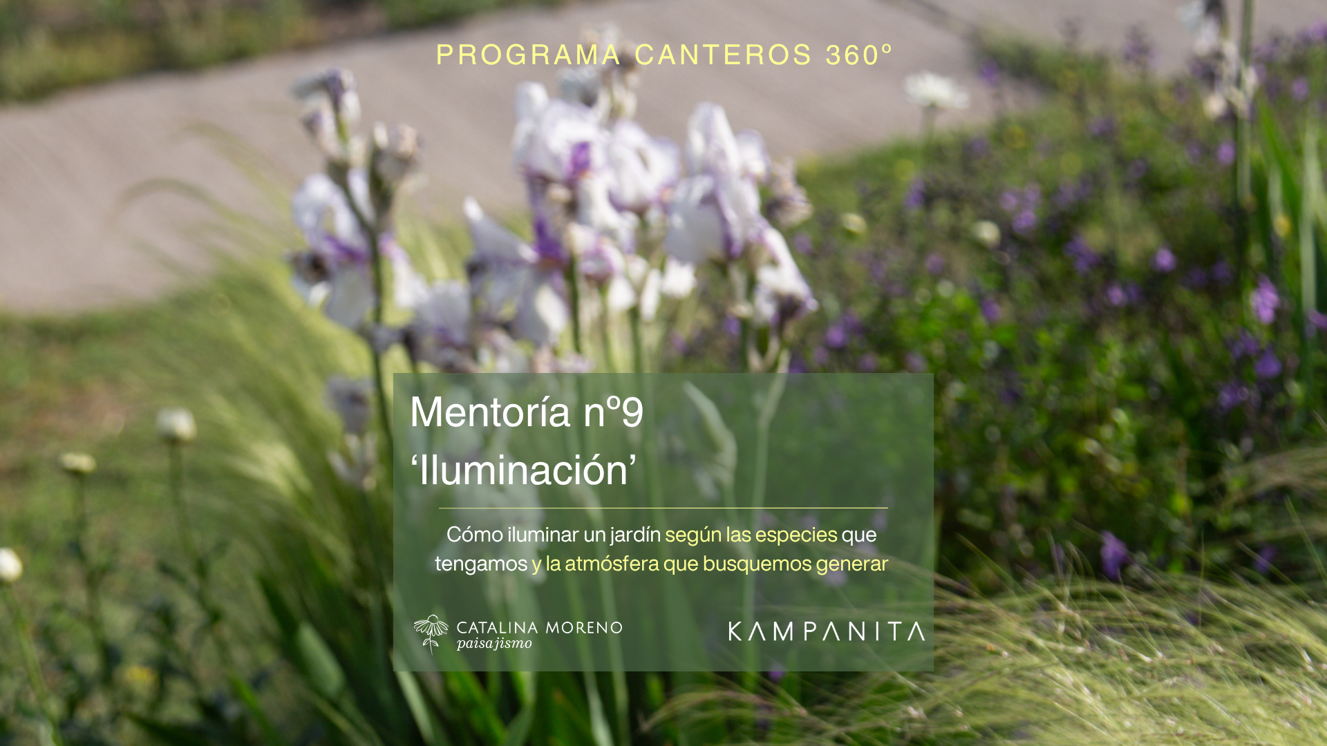 Iluminación