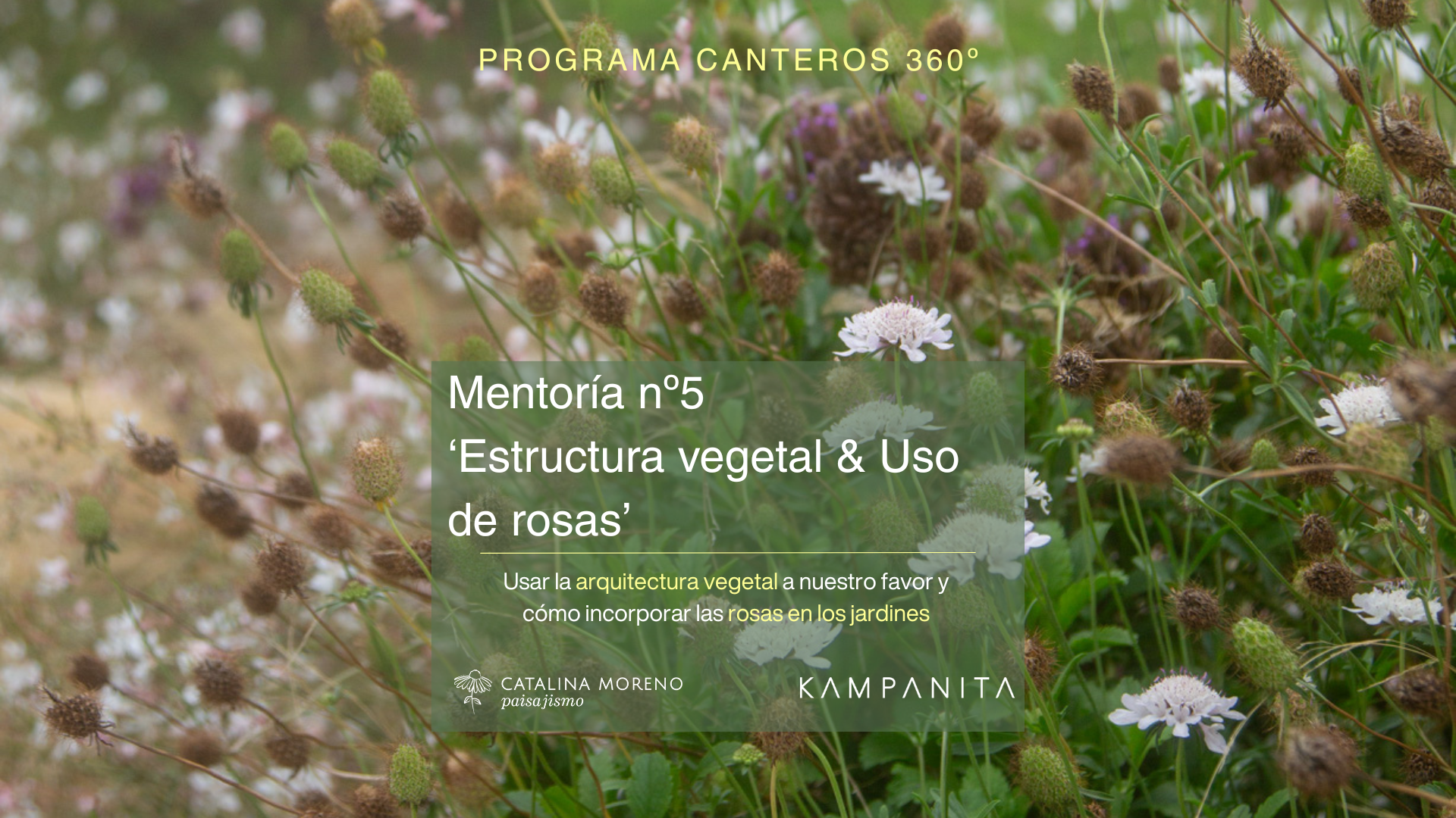 Estructura vegetal y uso de rosas