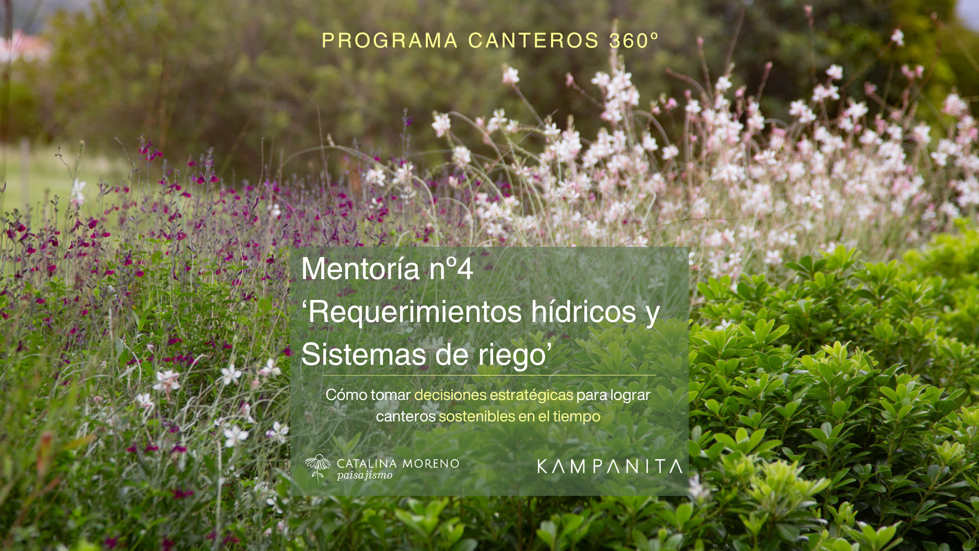 Requerimientos hídricos y sistemas de riego