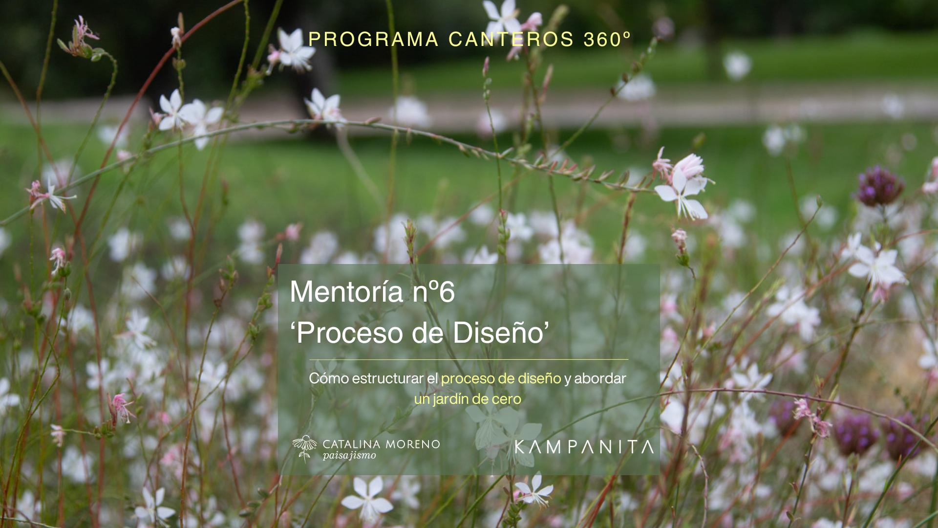 Proceso de diseño