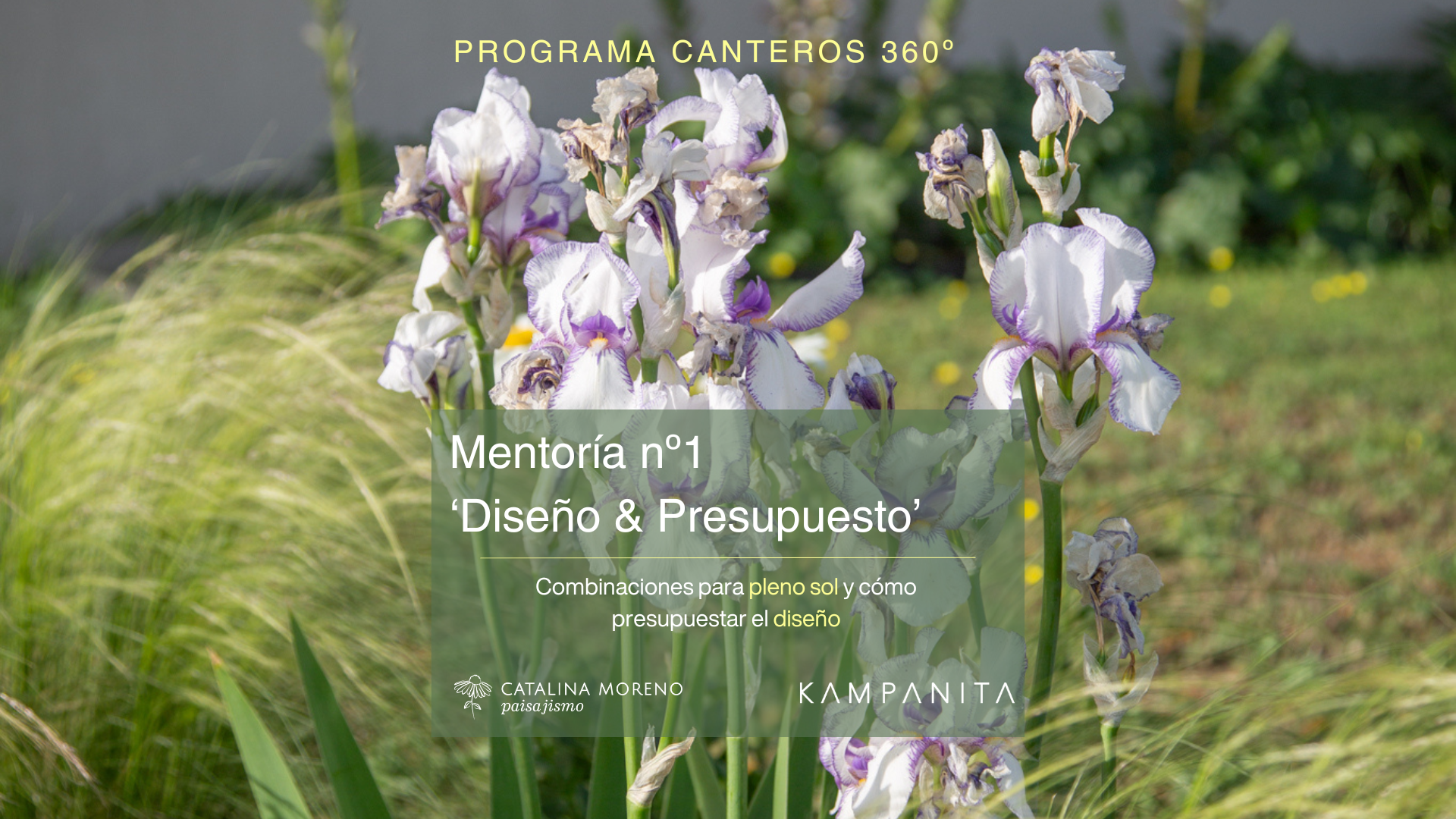 Diseño y presupuesto