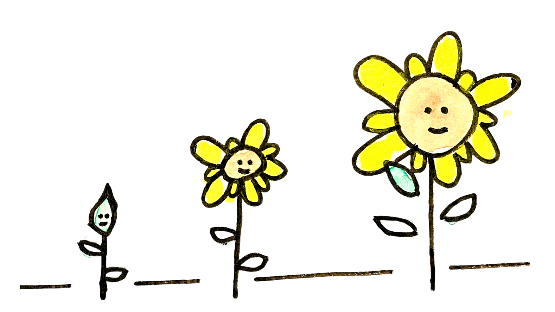 flower growing