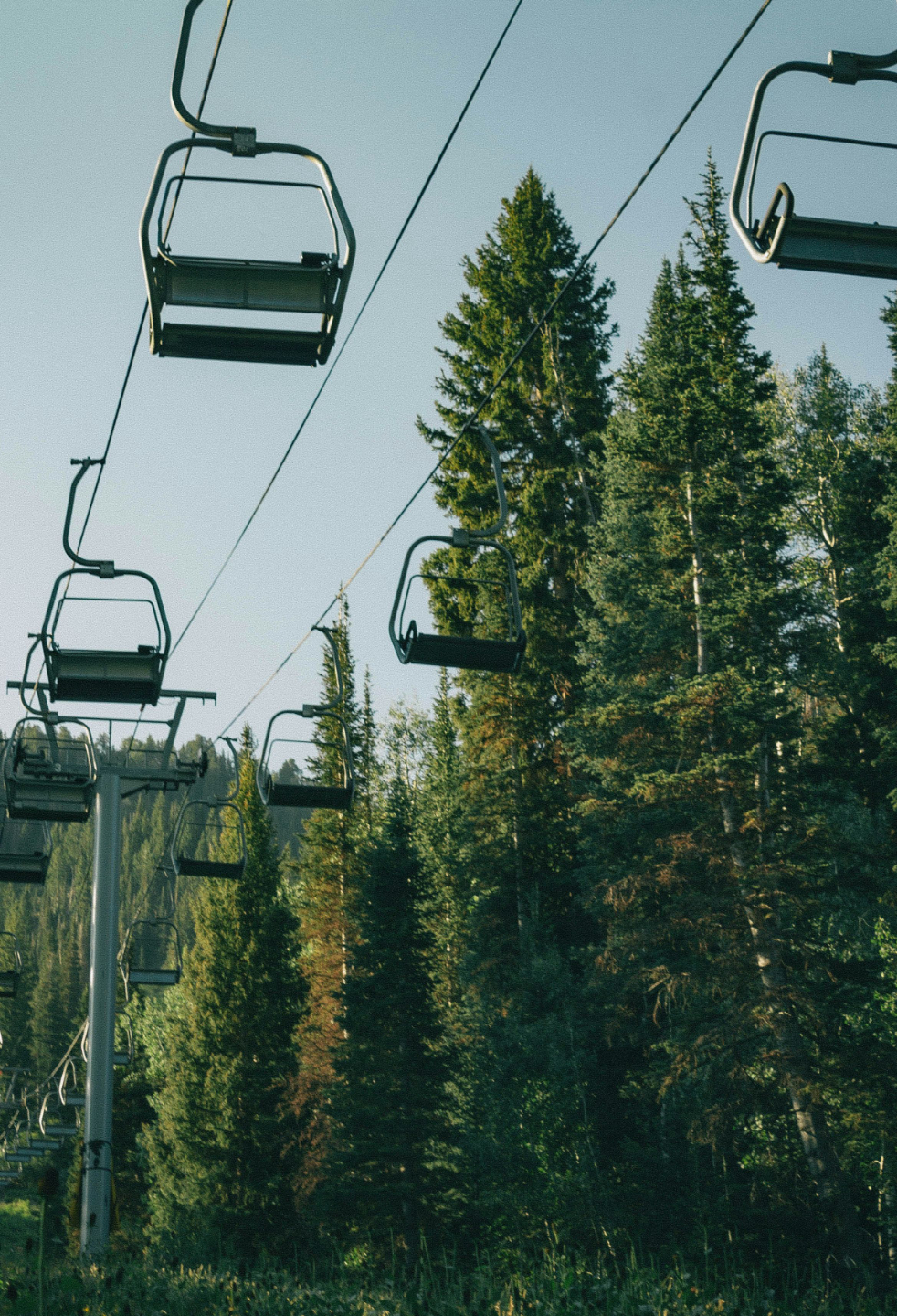 Heather Clayton Staker in a blue shirt on the beach