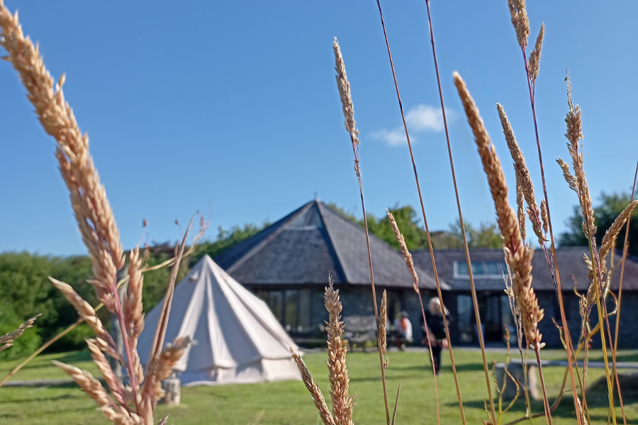 Simone Meschnig, Sound Healer