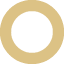 bullet icon
