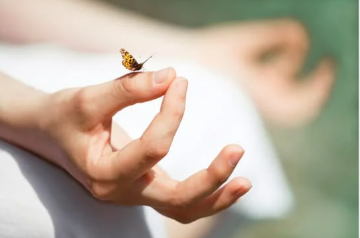 learn how to calm the mind and body