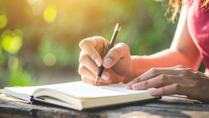 Reset and Rise Program