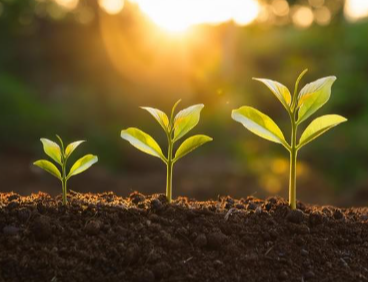 be the best version of yourself