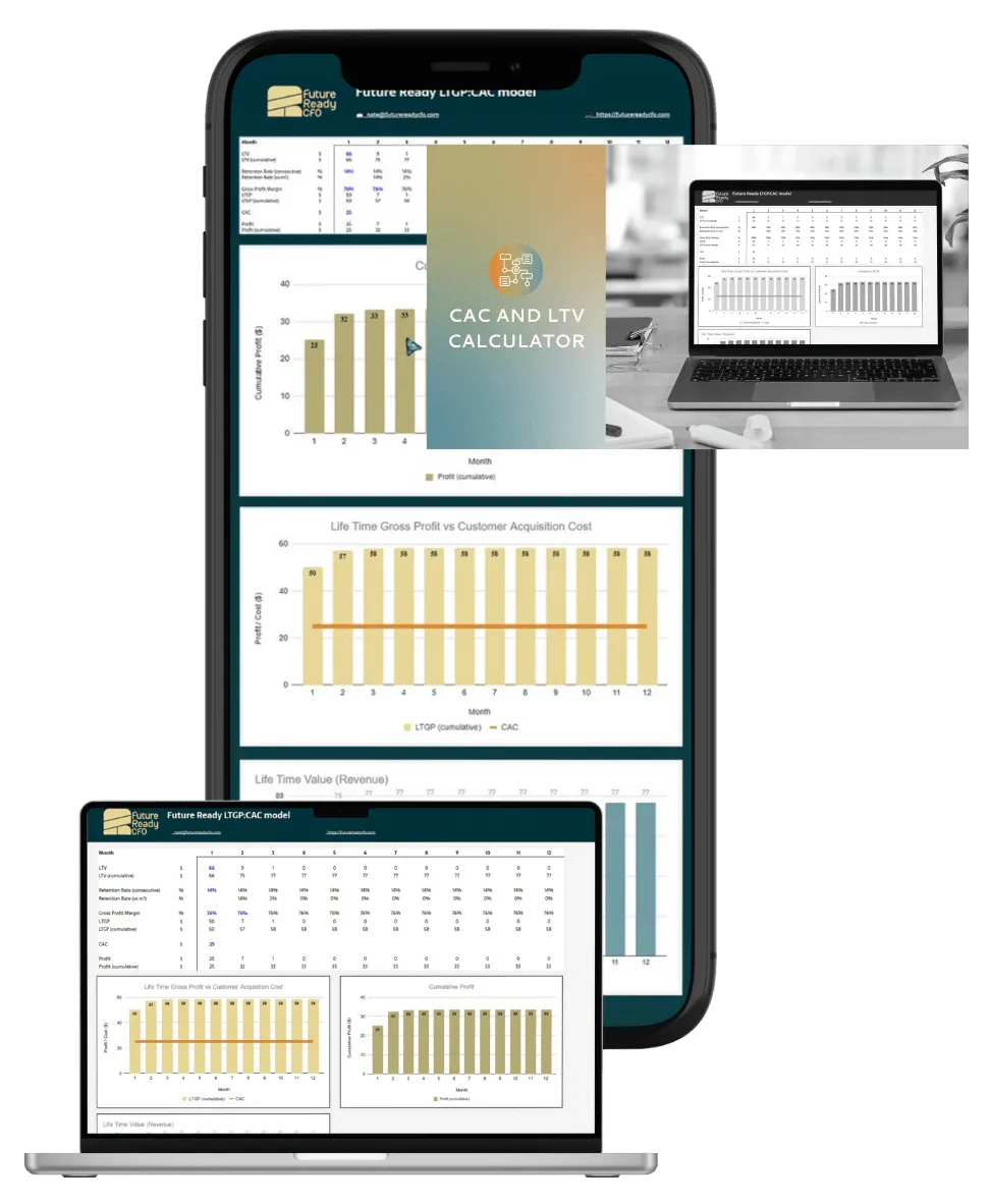 CAC and LTV Calculator