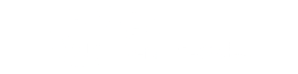 andrei valentin mentorat dropshipping