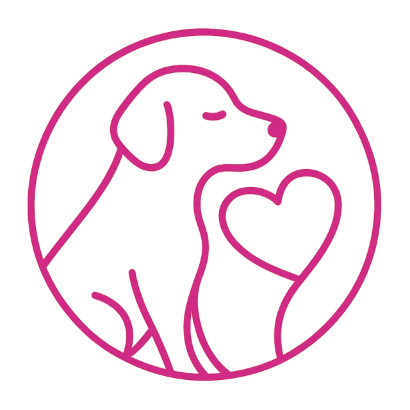 the holistic dog academy 