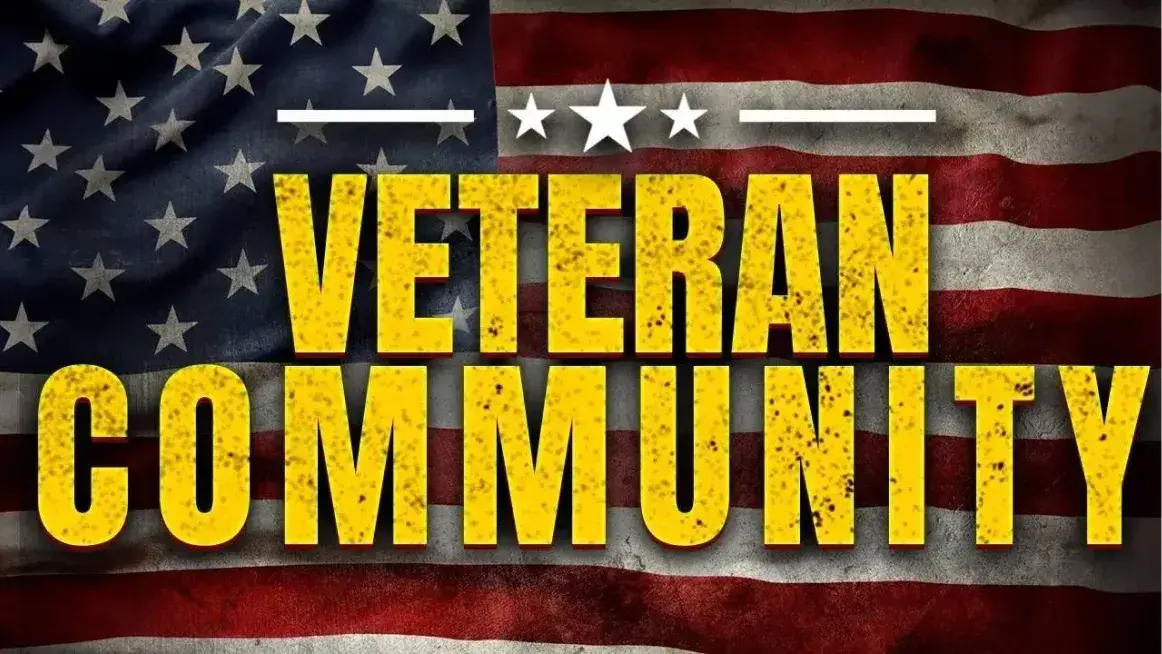 Graphic of the Vets4Vets community