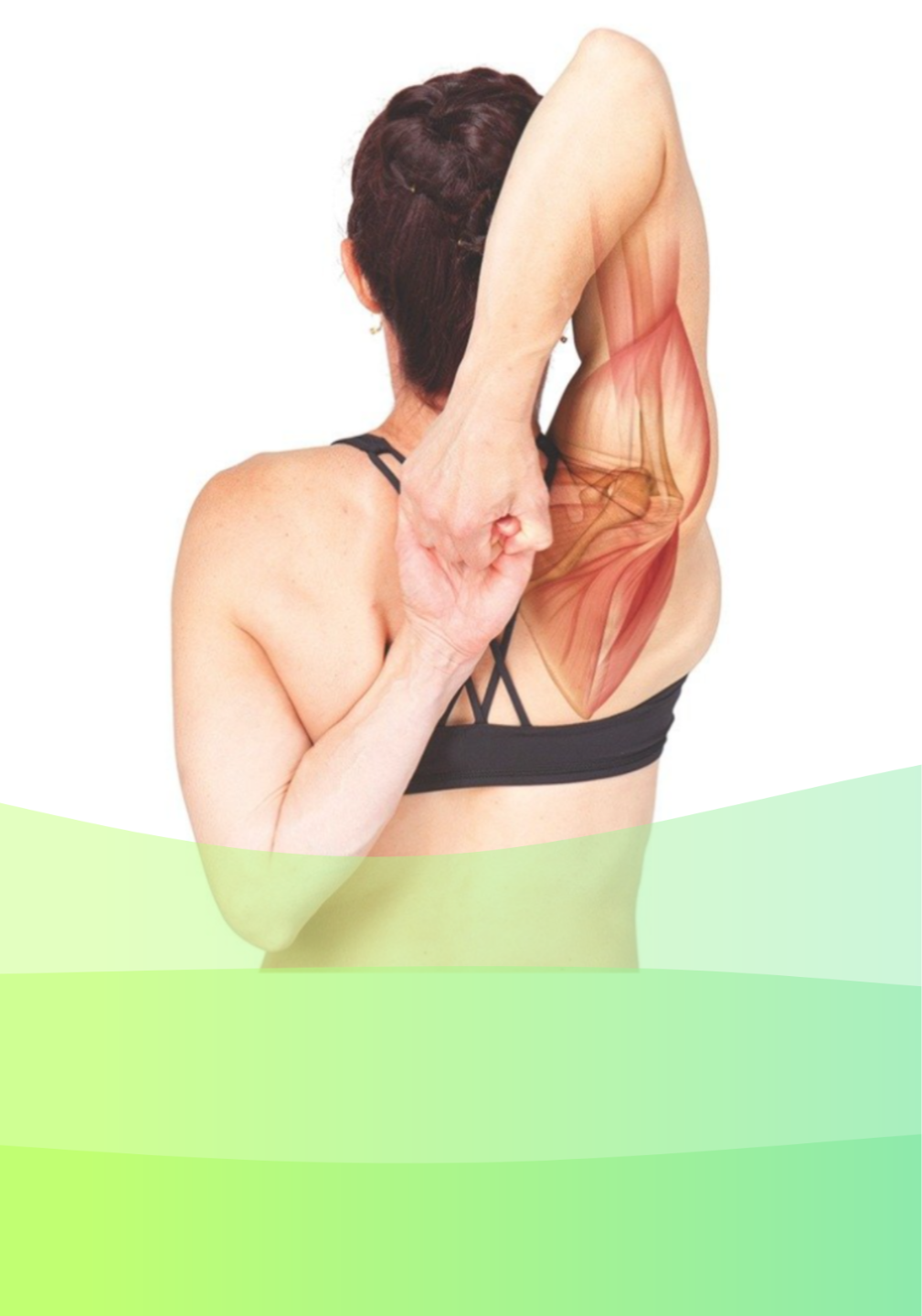 Five Filaments Specialist | Spiral Syllabus