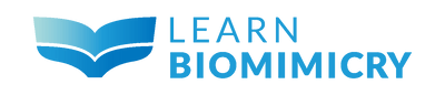 Learn Biomimicry Logo