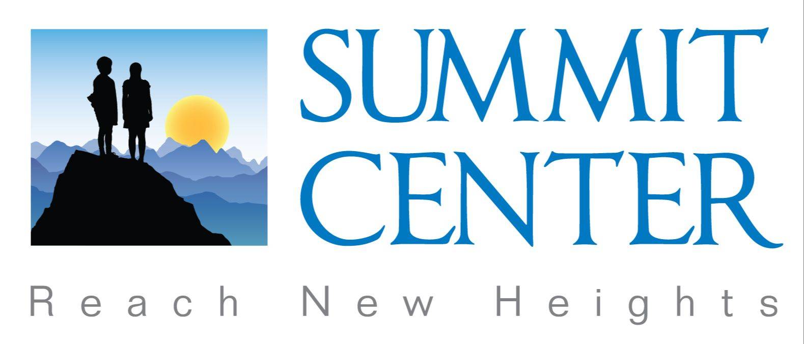 Little Village Logo for Iowa City's News & Culture Magazine for Renee Zukin Article