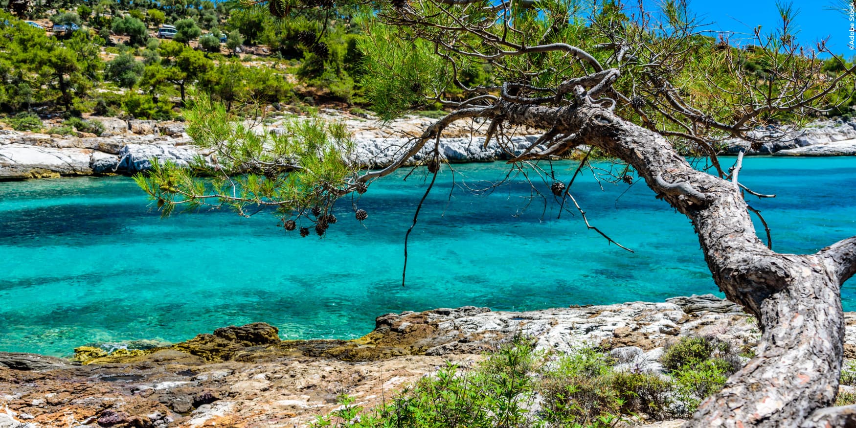 helderblauwe rivier en boom op het eiland Thassos in Macedonië