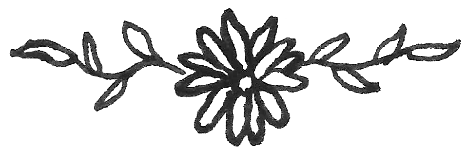 Floral Divider