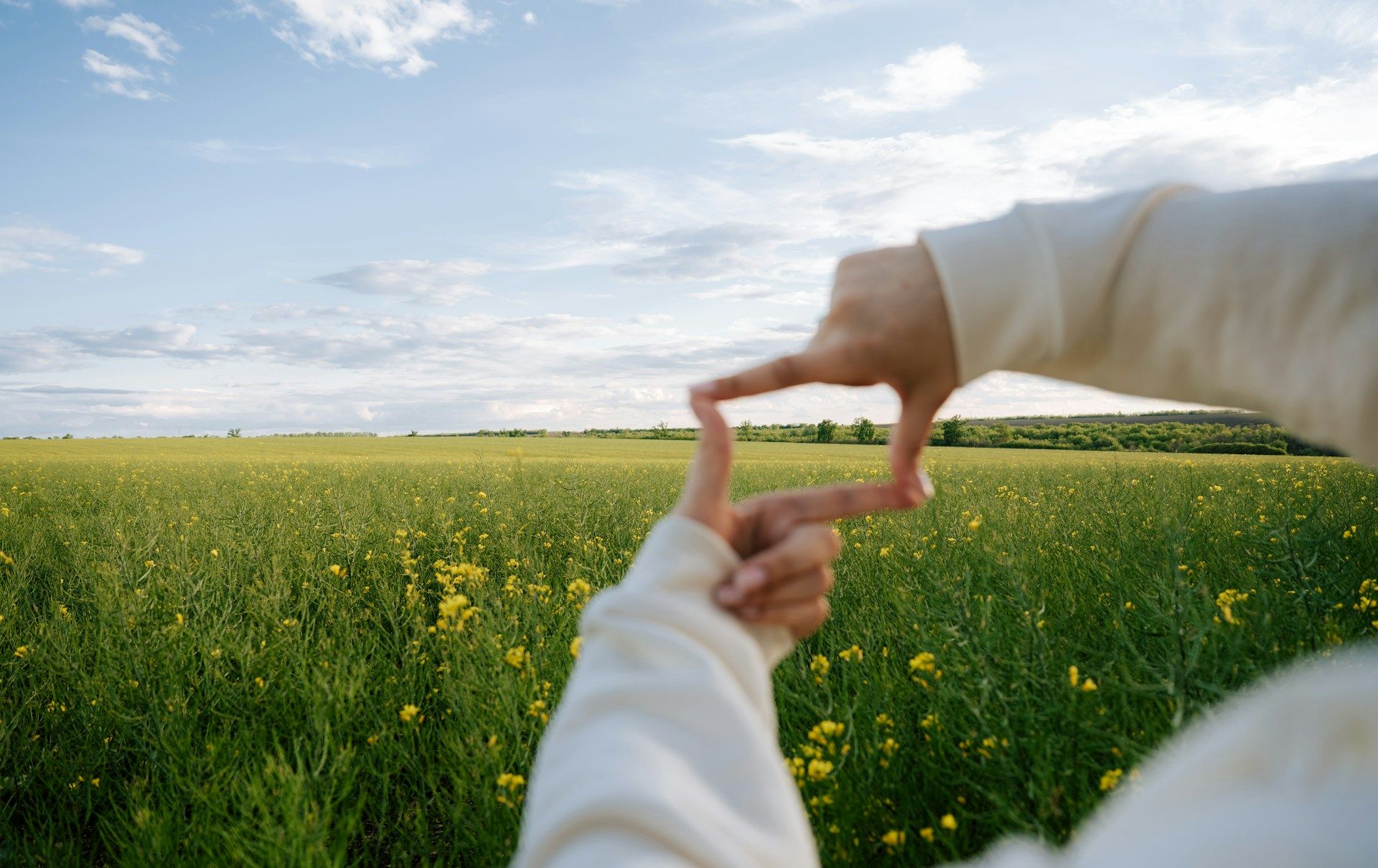 View through a window representing a grounded and safe clinical framework for therapy