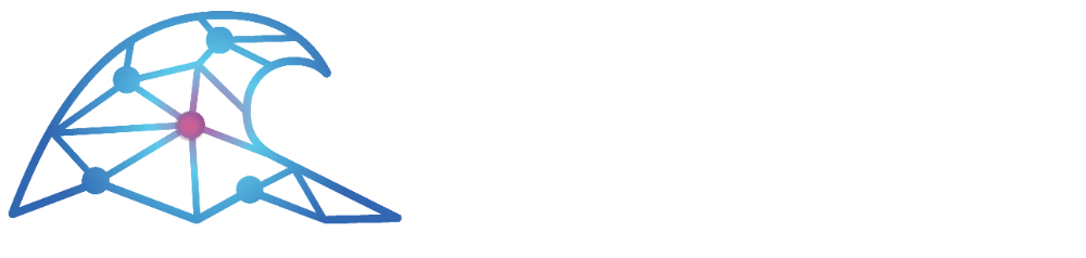 Coastal Intelligence Logo