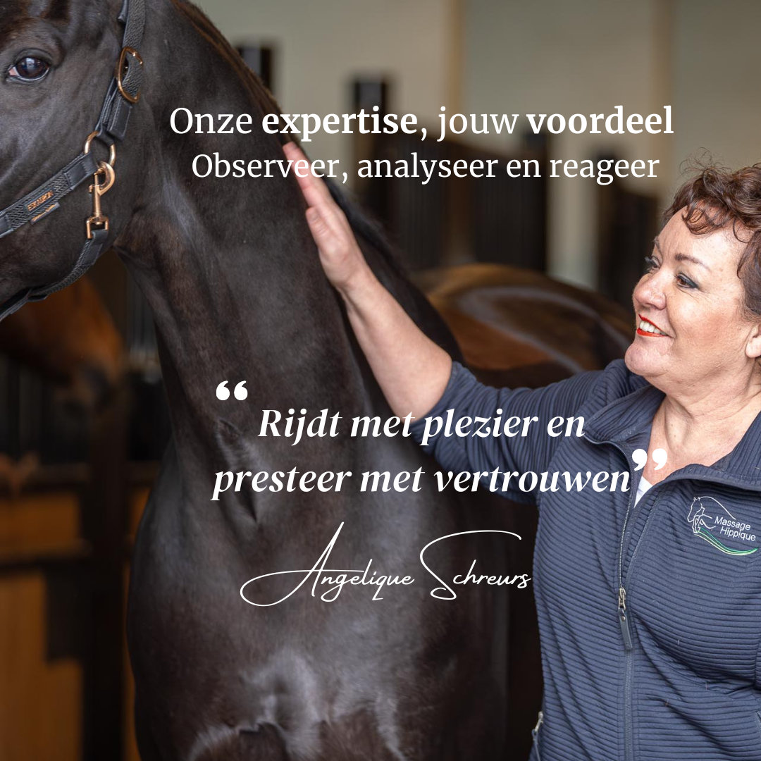 Equine Motion & Mind