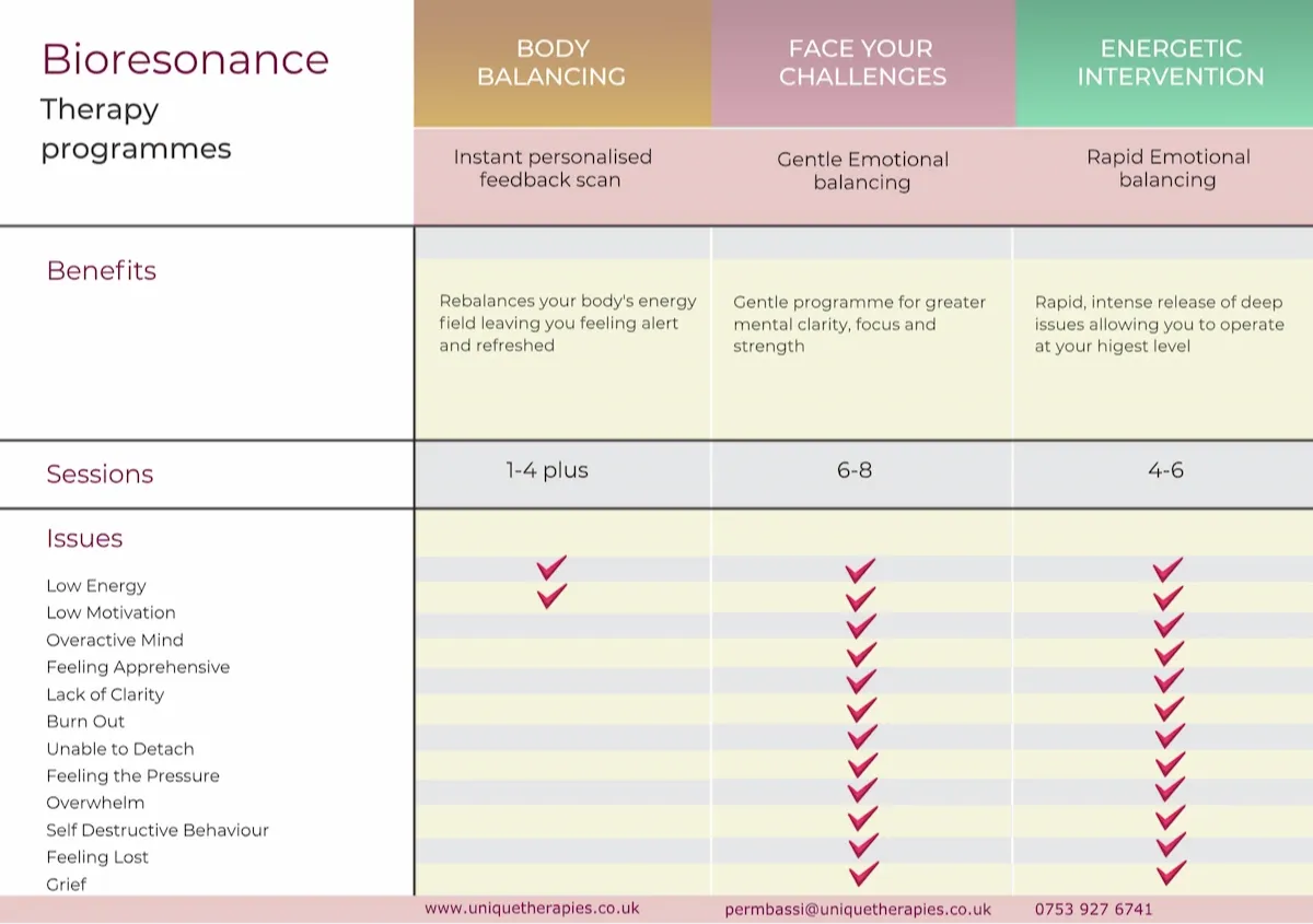 Bioresonance program chart showing tailored options for stress, anxiety, burnout and fatigue recovery