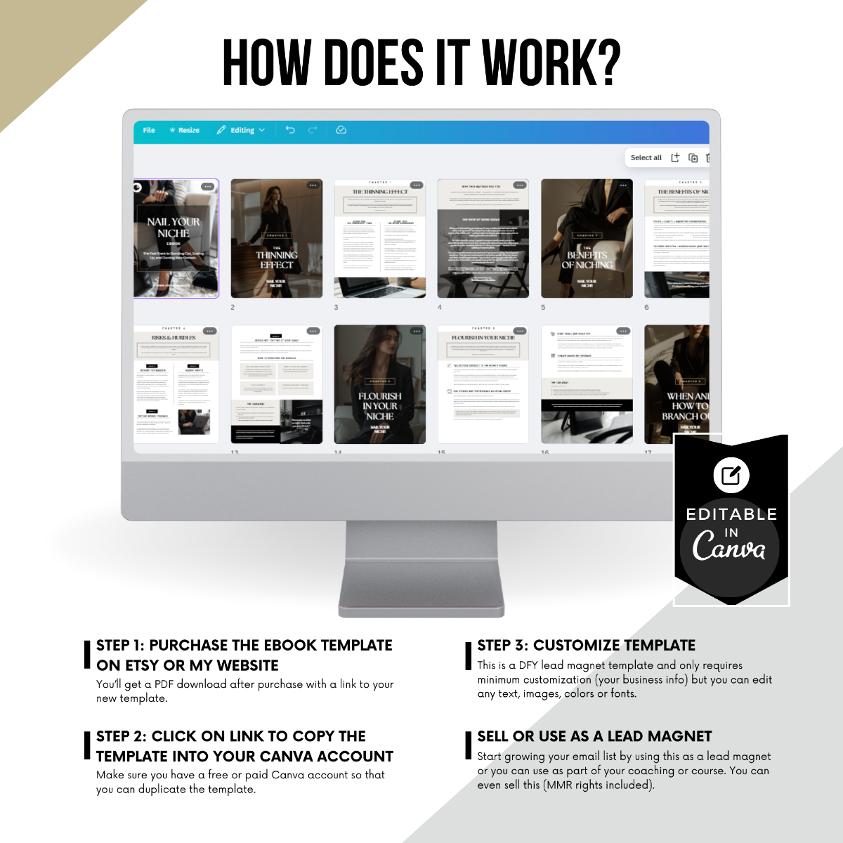 Step-by-step visual guide showing how to purchase, customize, and use the Nail Your Niche Canva template