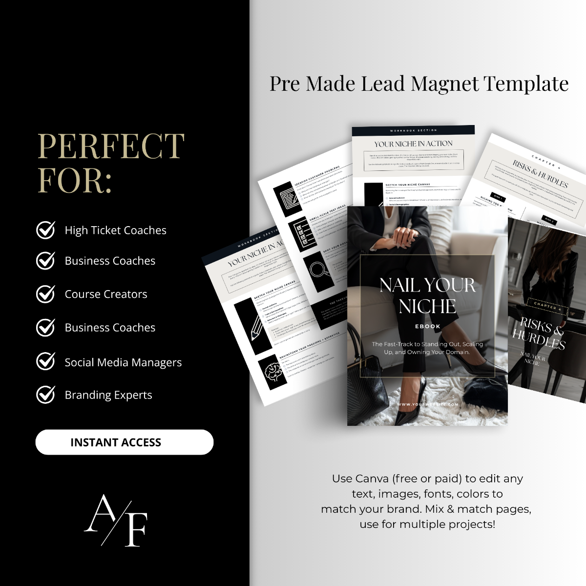 Pre-made lead magnet template for high-ticket coaches, course creators, and business consultants — editable in Canva.