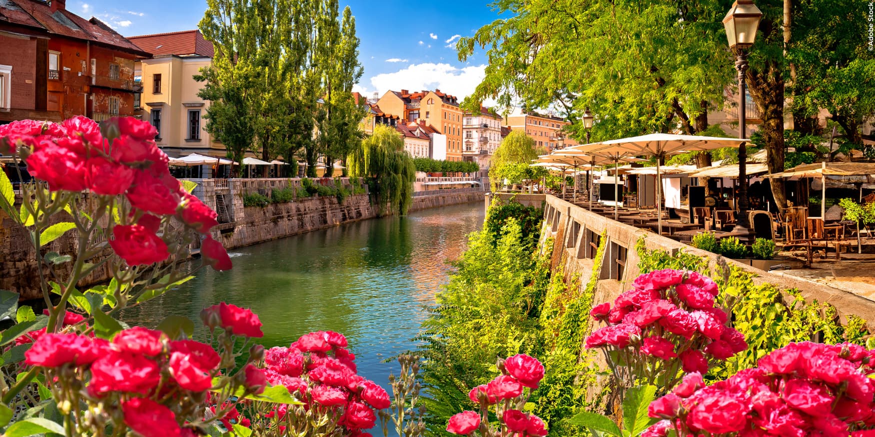 bloemen en gezellig terrasje aan de rivier in Ljubljana