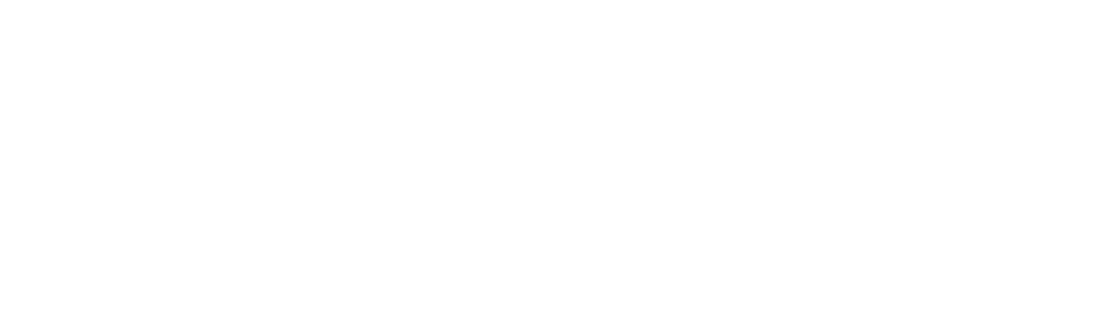 nlp-coach-holistic-healers-academy-logo