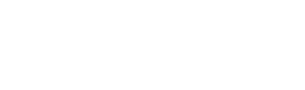 Scrum Network Logo