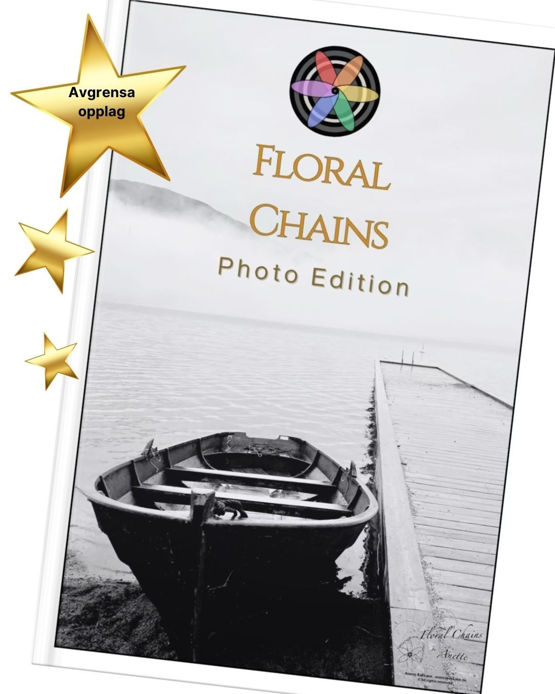 Bokserie Livet med ADHD - Ungdom Anette Bakkane