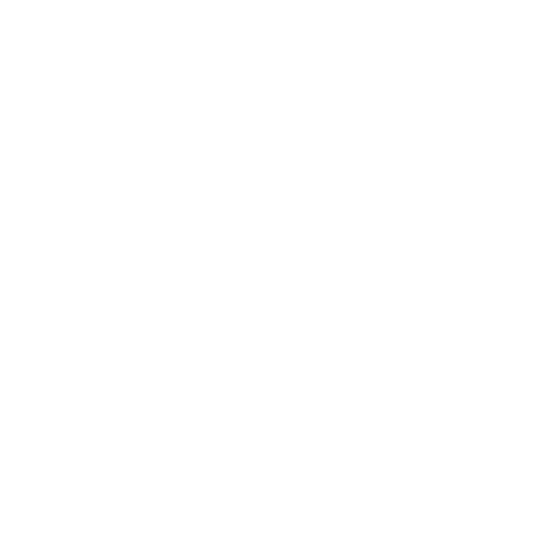 Numeracy Teachers Academy