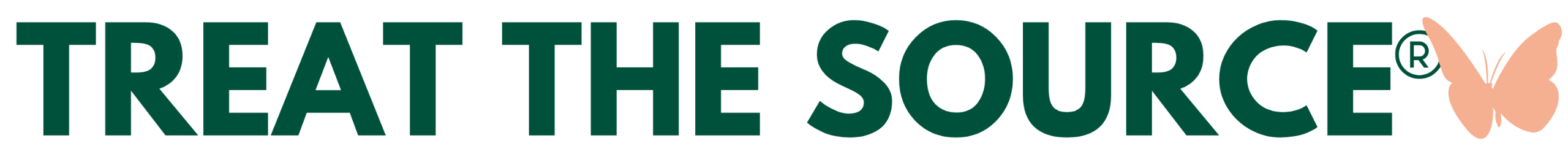 holistic health practitioner nutrition naturopath alternative medicine integrative health functional medicine doctor nutritionist muscle testing scottsdale phoenix paradise valley