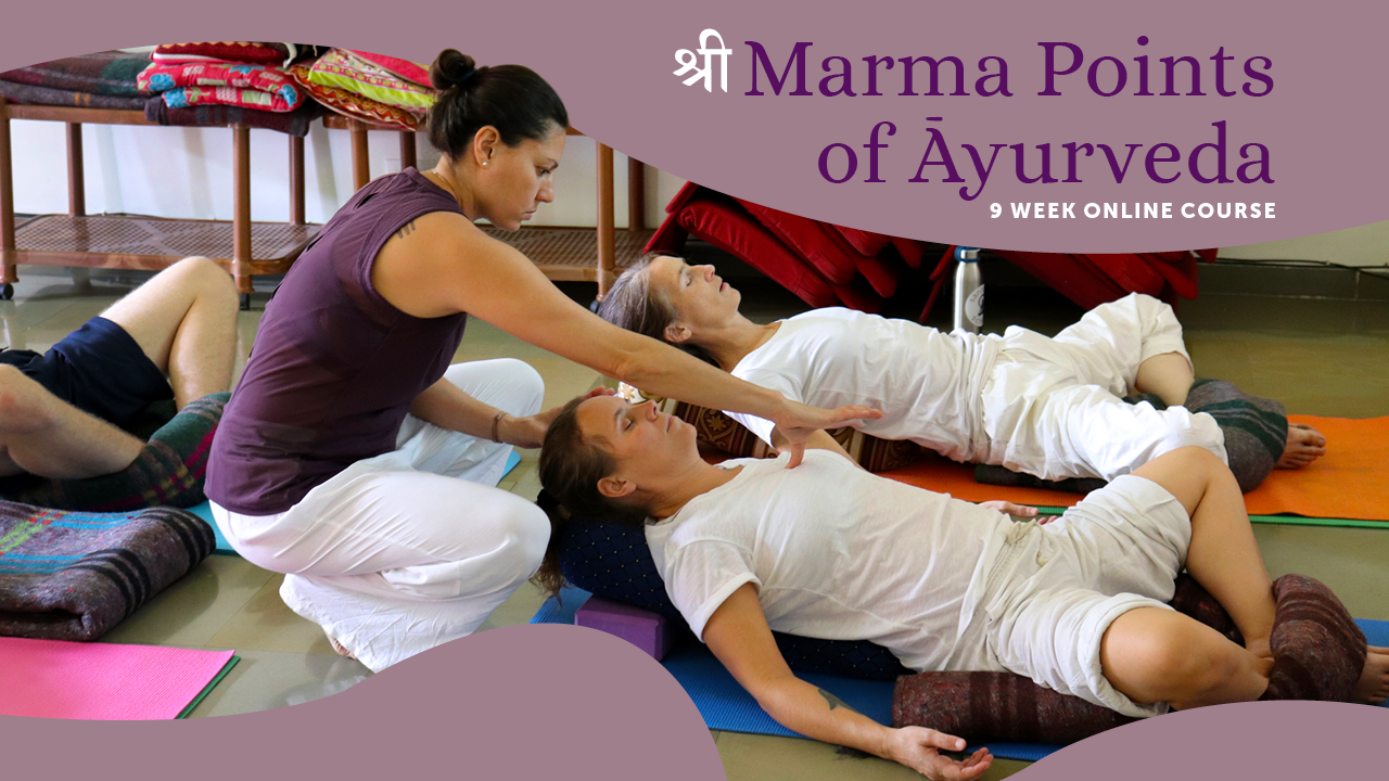 Practitioner performing marma point therapy on a client