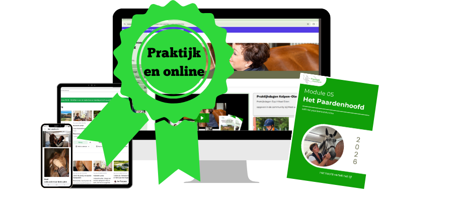 M 5 Het paardenhoofd