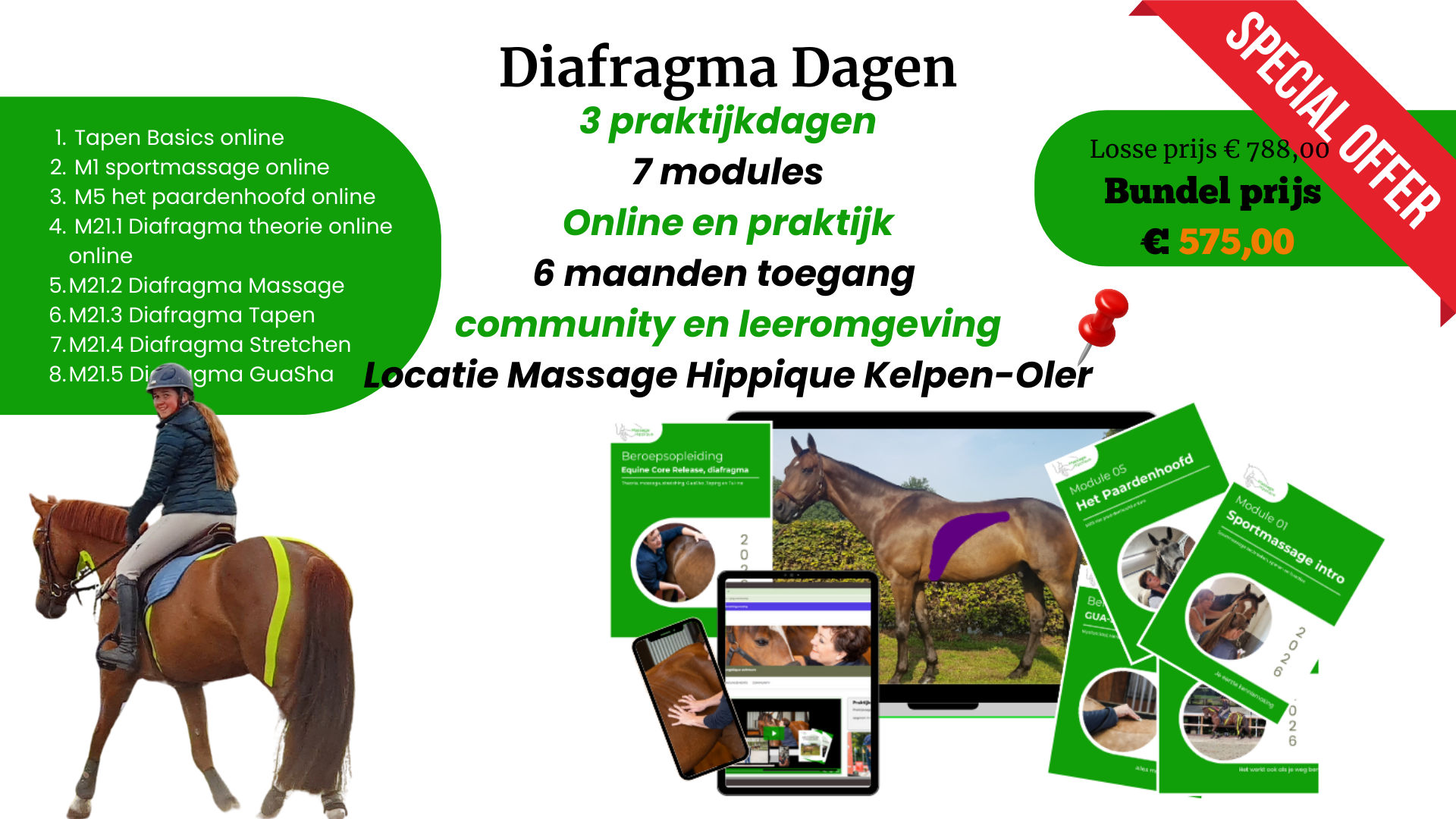 Functional Taping voor paarden