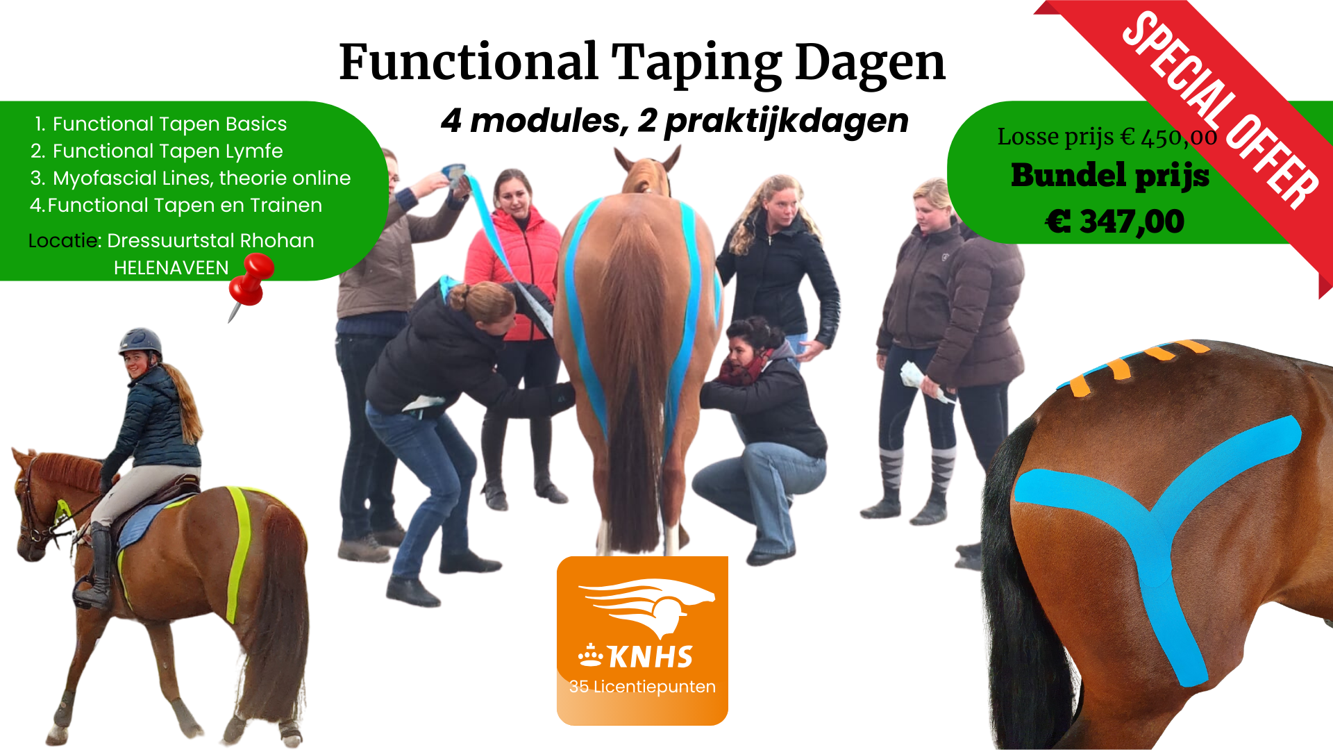 Functional Taping voor paarden