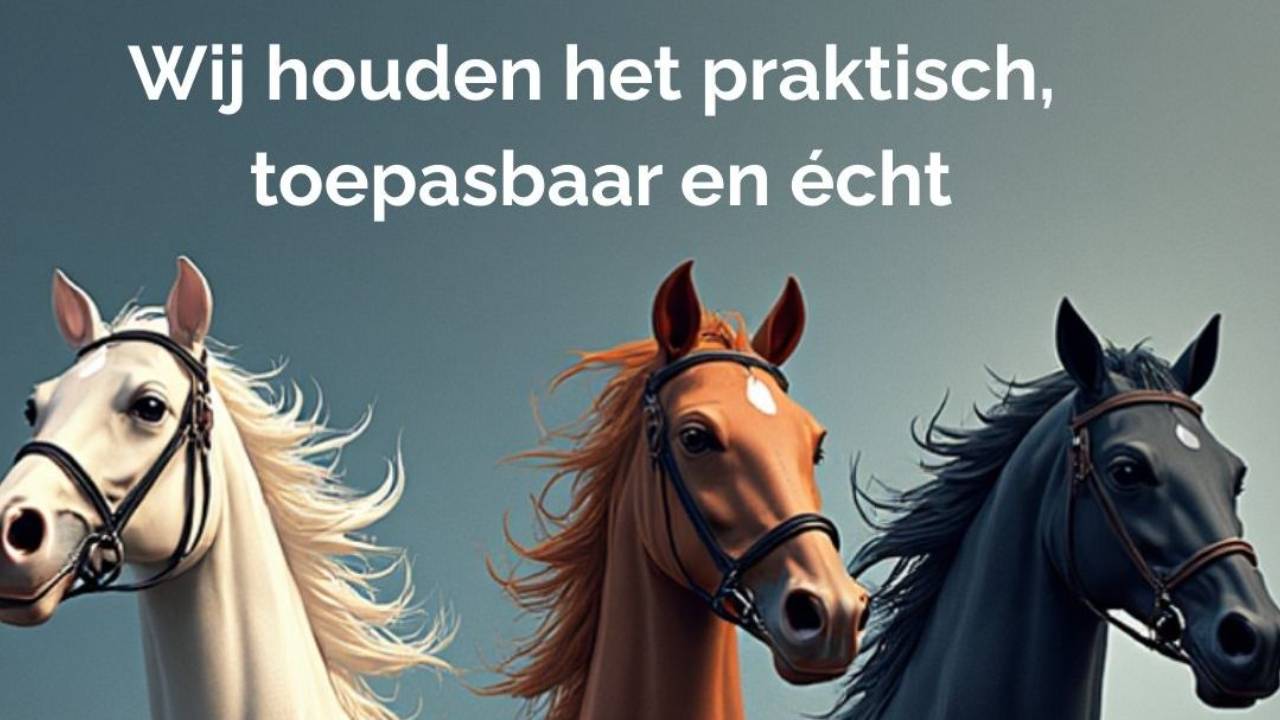Massage Hippique echt