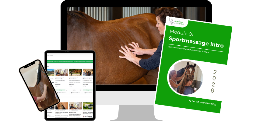 M1 Sportmassage voor paarden