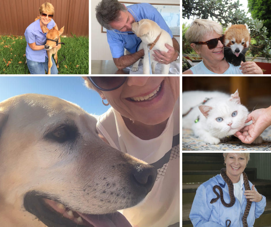 animal lovers in australia