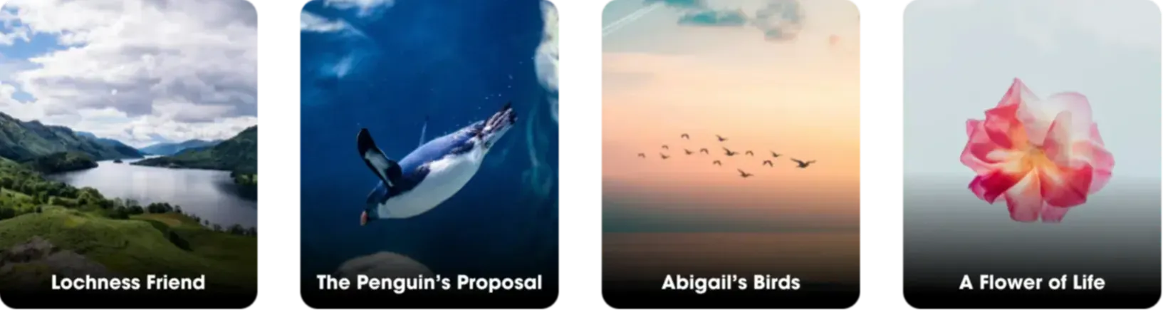 Infijoy Sleep Stories