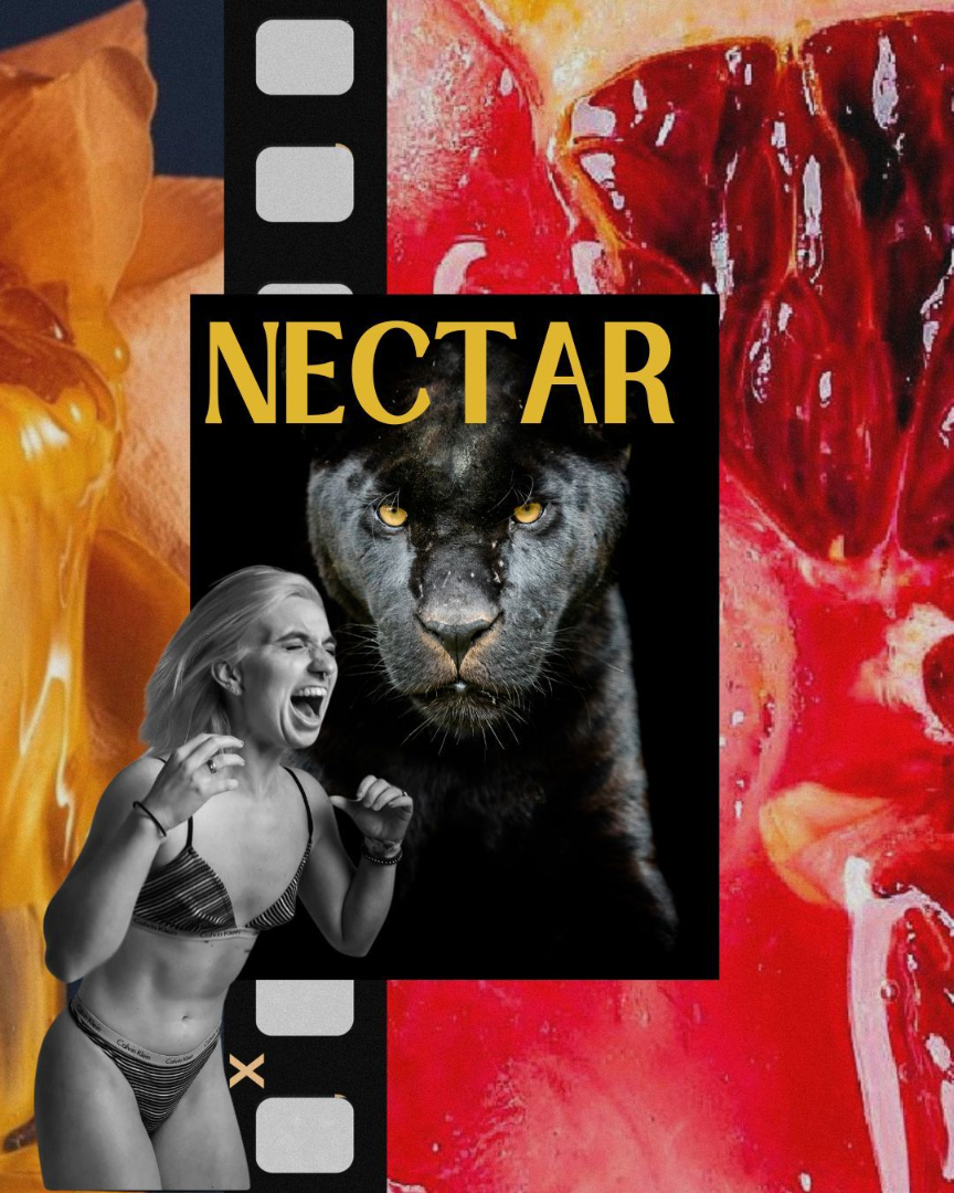 Video Poster Image